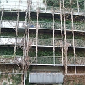 2009_ruhr 222